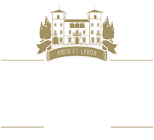 logo villa bibbiani
