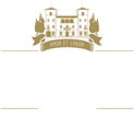 logo villa bibbiani