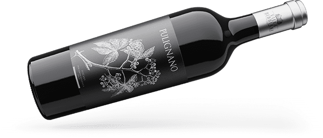 Bottle of wine Villa Bibbiani